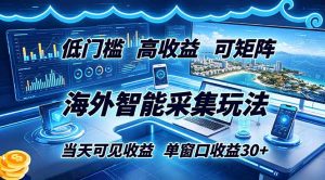 海外智能采集玩法，低门槛高单价可矩阵，当天可见收益，单窗口30+-网创项目总站