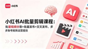 小红书AI批量剪辑课程：批量视频分割+批量发布+交叉发布，多账号矩阵运营提效-网创项目总站