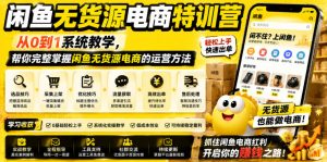 闲鱼无货源电商特训营，从0到1系统教学，帮你完整掌握闲鱼无货源电商的运营方法-网创项目总站