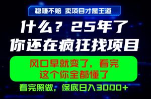 26年，请不要疯狂的找项目做了！卖项目才是真的稳賺不赔，看完照做，保底日入1k+【揭秘】-网创项目总站