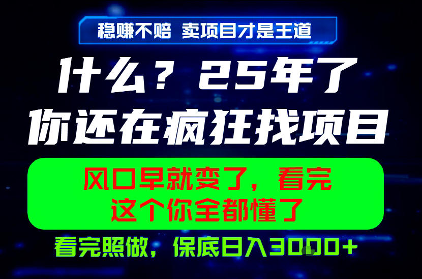 26年，请不要疯狂的找项目做了！卖项目才是真的稳賺不赔，看完照做，保底日入1k+【揭秘】-网创项目总站