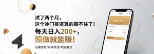 试了两个月，这个冷门赛道真的藏不住了！每天日入200+，照做就能赚！-网创项目总站