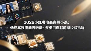2026小红书电商直播小课，低成本投流截流玩法，多类目爆款商家经验完整拆解教学-网创项目总站