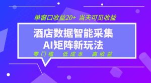 2026酒店数据采集ai智能矩阵新风口 低成本 高收益 当天见收益 单窗口20+-网创项目总站