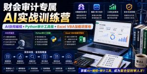 财会审计专属AI实战训练营｜AI协同编程+Python审计工具箱+Excel VBA加载项落地-网创项目总站
