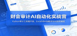 财会审计AI自动化实战营：Python审计工具箱开发，ExcelVBA加载项与AI协同编程-网创项目总站