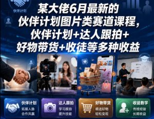 某大佬6月最新的伙伴计划图片类赛道课程，伙伴计划+达人跟拍+好物带货+收徒等多种收益-网创项目总站