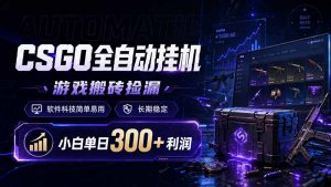 CSGO全自动挂机，游戏搬砖捡漏，软件科技简单易用，长期稳定，小白单日300+利润-网创项目总站