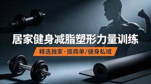 抖音健身热门短视频教学：居家健身减脂塑形力量训练，精选独家，接商单或者健身私域-网创项目总站