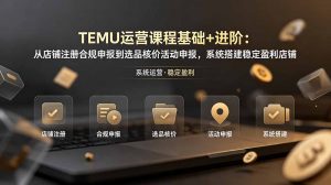 TEMU运营课程(基础+进阶-网创项目总站