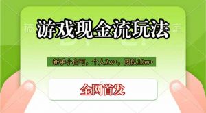 游戏现金流玩法，个人2w+，团队10w+，自己做老板-网创项目总站