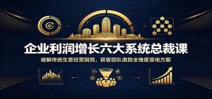 企业利润增长六大系统总裁课：破解传统生意经营困局，获客团队激励全维度落地方案-网创项目总站