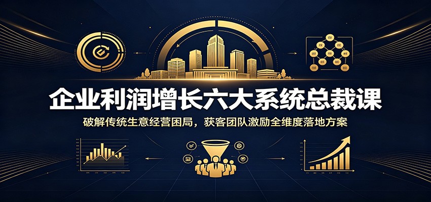 企业利润增长六大系统总裁课：破解传统生意经营困局，获客团队激励全维度落地方案-网创项目总站