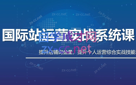 白老师·国际站运营实战系统(高质量询盘增长课)(更新)-网创项目总站