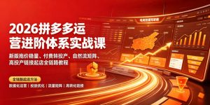 2026拼多多运营进阶体系实战课｜新版拖价稳量、付费转投产、自然流矩阵、高投产链接起店全链路教程-网创项目总站