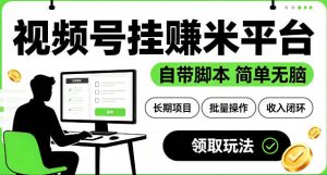 最新视频号挂G賺米平台，自带脚本，长期能做，简单无脑【揭秘】-网创项目总站