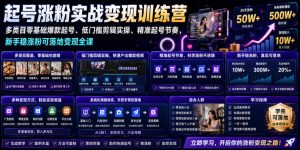 苗子起号涨粉实战变现训练营,多类目零基础爆款起号、精准起号节奏、新手稳涨粉可落地变现全课-网创项目总站